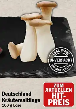 HIT Deutschland Kräutersaitlinge Angebot