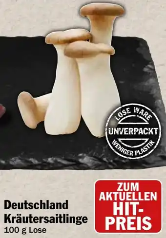 HIT Deutschland Kräutersaitlinge Angebot