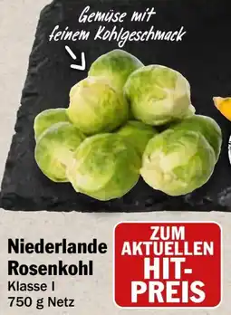 HIT Niederlande Rosenkohl Angebot