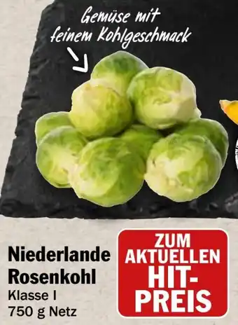 HIT Niederlande Rosenkohl Angebot