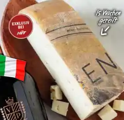 HIT Tebben Büffelkäse Angebot