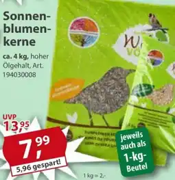 Sonderpreis Baumarkt Wild VOGEL Sonnenblumenkerne Angebot