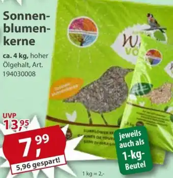 Sonderpreis Baumarkt Wild VOGEL Sonnenblumenkerne Angebot