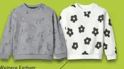 Lidl Lupilu Kinder Sweatpullover Angebot