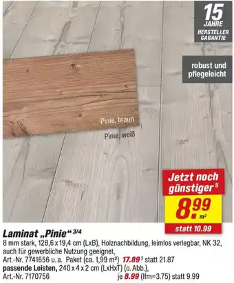toom Baumarkt Laminat „Pinie" Angebot