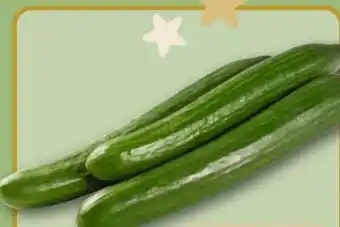 REWE Salatgurke Angebot
