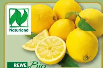 REWE Rewe Bio Zitronen Angebot