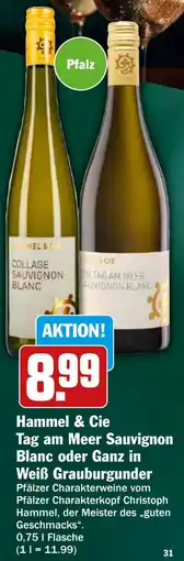 HIT Hammel & Cie Tag am Meer Sauvignon Blanc oder Ganz in Weiß Grauburgunder Angebot