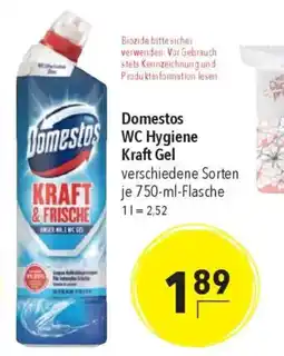 CITTI Markt Domestos WC Hygiene Kraft Gel Angebot