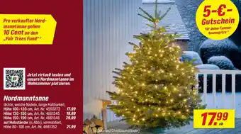 toom Baumarkt Nordmanntanne Angebot