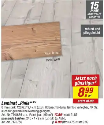 toom Baumarkt Laminat „Pinie" Angebot