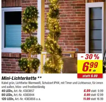 toom Baumarkt Mini-Lichterkette Angebot
