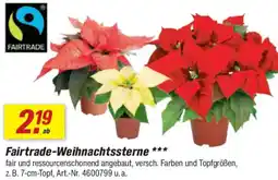 toom Baumarkt Fairtrade-Weihnachtssterne Angebot