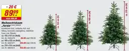 toom Baumarkt Weihnachtsbaum „Fernie" Angebot