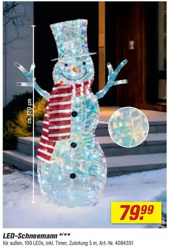 toom Baumarkt LED-Schneemann Angebot