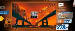Expert Tcl 55p69k Angebot