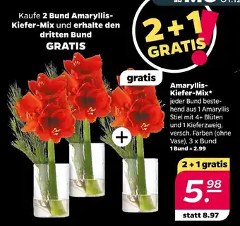 NETTO Amaryllis-kiefer-mix Angebot
