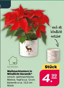 NETTO Weihnachtsstern in windlicht keramik Angebot
