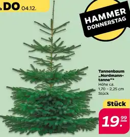 NETTO Tannenbaum nordmanntanne Angebot