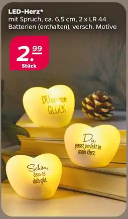 NETTO Led-herz Angebot