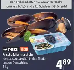 CITTI Markt Frische Miesmuscheln Angebot