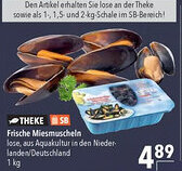 CITTI Markt Frische Miesmuscheln Angebot