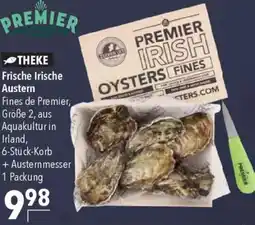 CITTI Markt PREMIER Frische Irische Austern Angebot