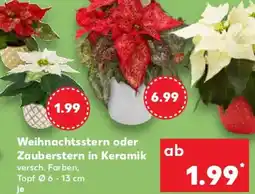Kaufland Weihnachtsstern oder Zauberstern in Keramik Angebot