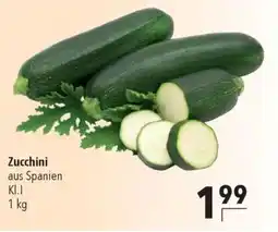 CITTI Markt Zucchini Angebot