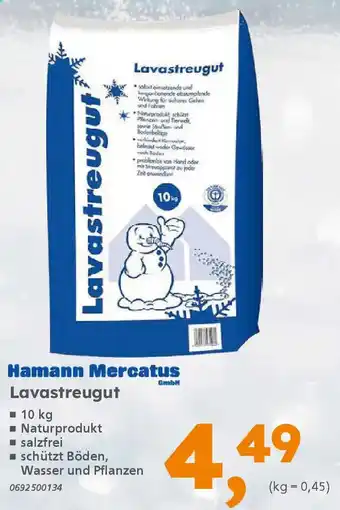 Globus Baumarkt Hamann Mercatus Lavastreugut Angebot