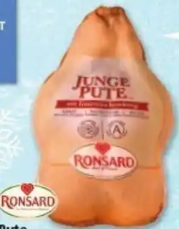 Multi Markt RONSARD Pute Angebot