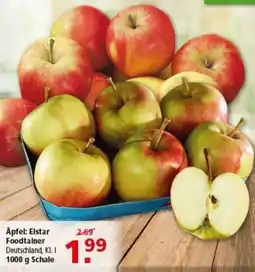 Multi Markt Äpfel Elstar Foodtainer Angebot