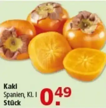 Multi Markt Kaki Angebot
