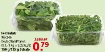 Multi Markt Feldsalat/ Rucola Angebot