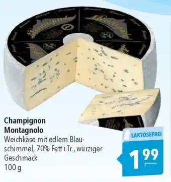 CITTI Markt Champignon Montagnolo Angebot