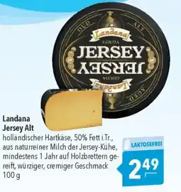 CITTI Markt Landana Jersey Alt Angebot