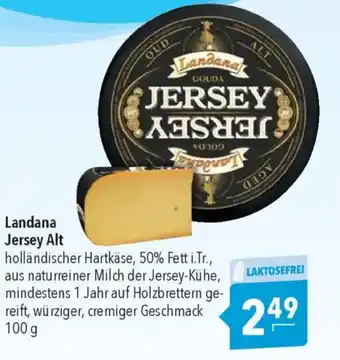 CITTI Markt Landana Jersey Alt Angebot