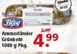 Multi Markt Bley Ammerländer Grünkohl Angebot