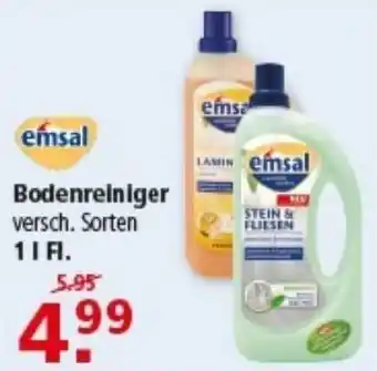 Multi Markt emsa Bodenreiniger Angebot