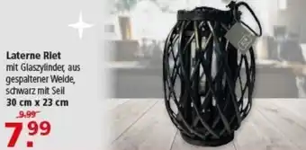Multi Markt Laterne Riet Angebot