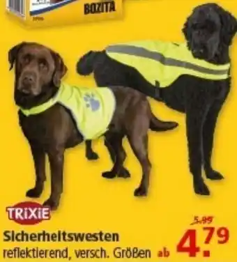 Multi Markt TRIXIE Sicherheitswesten Angebot