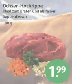 V Markt Ochsen-Hochrippe Angebot