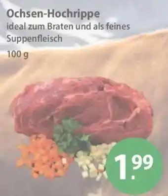 V Markt Ochsen-Hochrippe Angebot