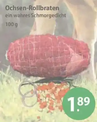 V Markt Ochsen-Rollbraten Angebot
