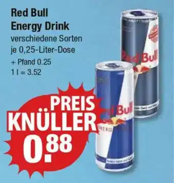 V Markt Red Bull Energy Drink Angebot
