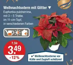 V Markt Weihnachtsstern mit Glitter Angebot