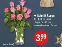 V Markt Schnitt Rosen Angebot