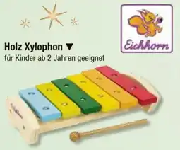 V Markt Eichhorn Holz Xylophon Angebot