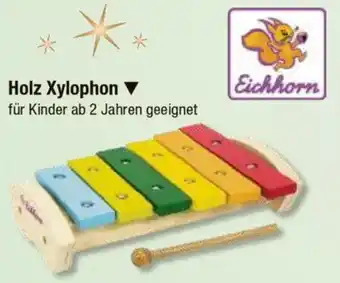 V Markt Eichhorn Holz Xylophon Angebot