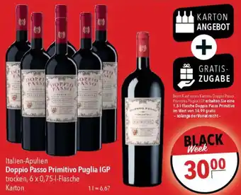 CITTI Markt Doppio Passo Primitivo Puglia IGP Angebot